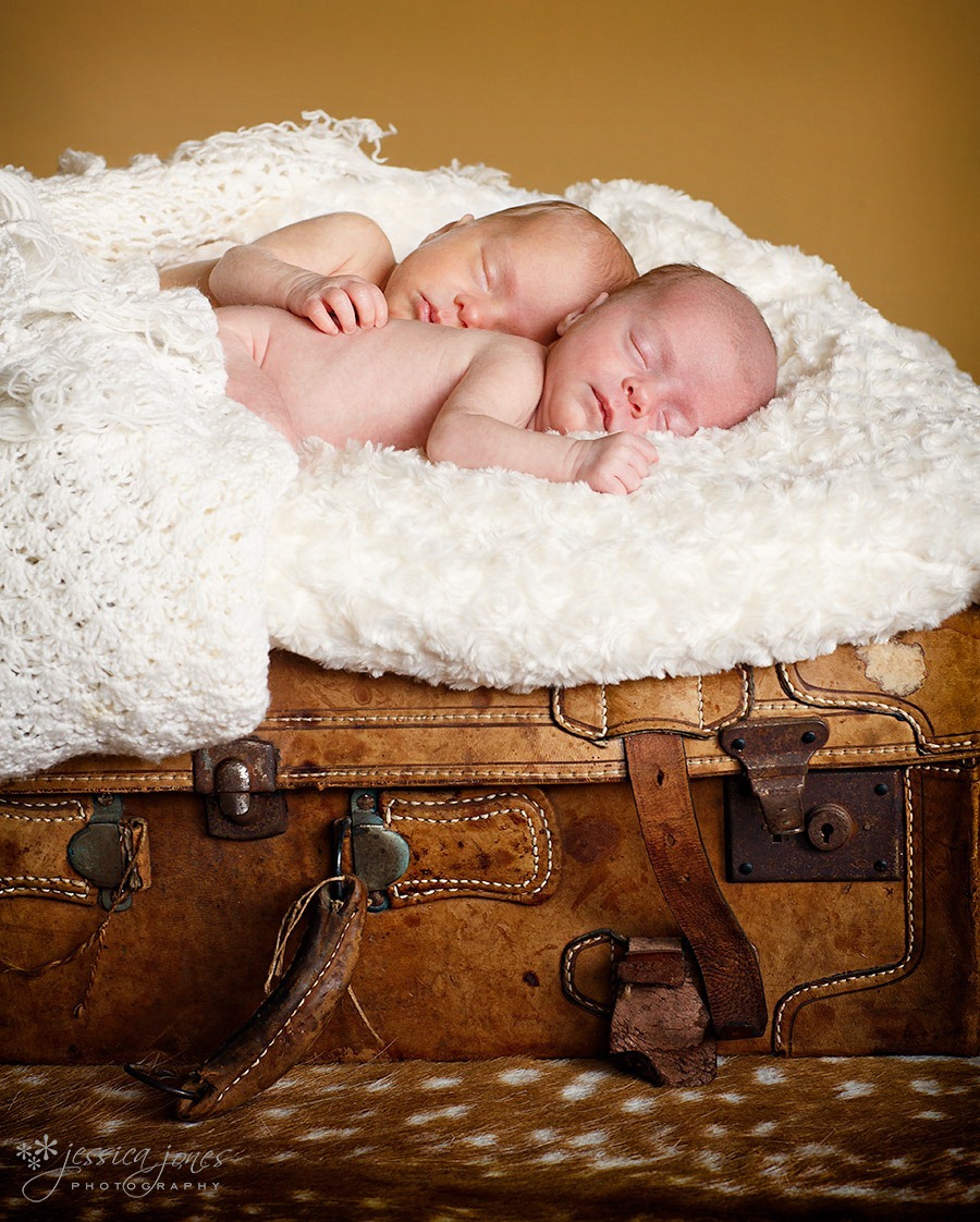 newborn_twins_portrait2