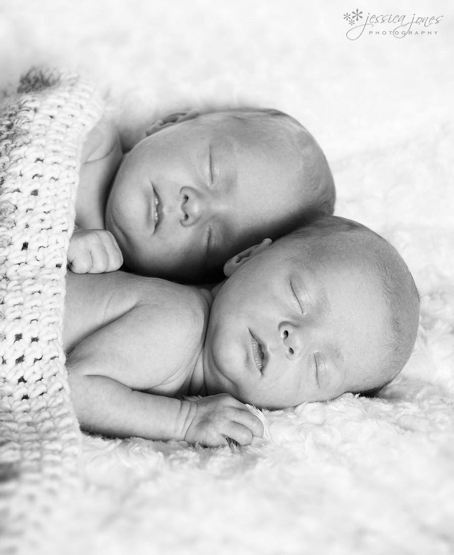 newborn_twins_portrait3