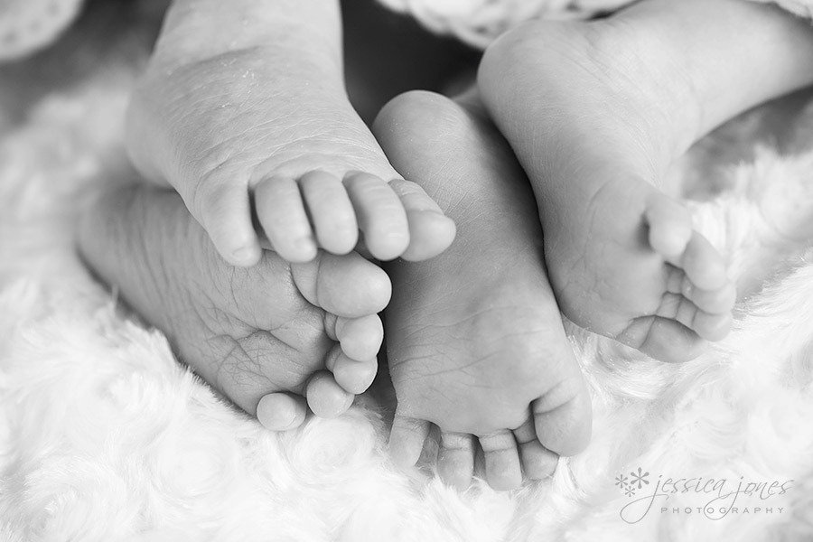 newborn_twins_portrait4