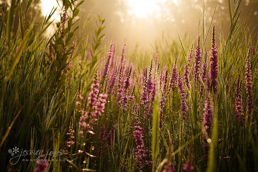 International_photographers_adventures_02