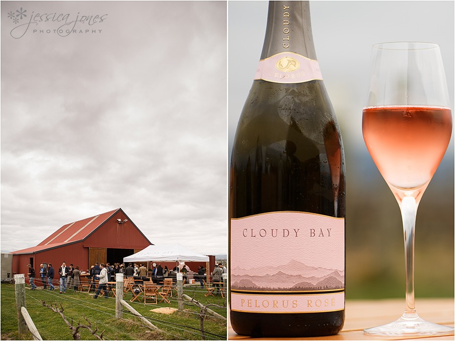 CloudyBayPinot2014-04