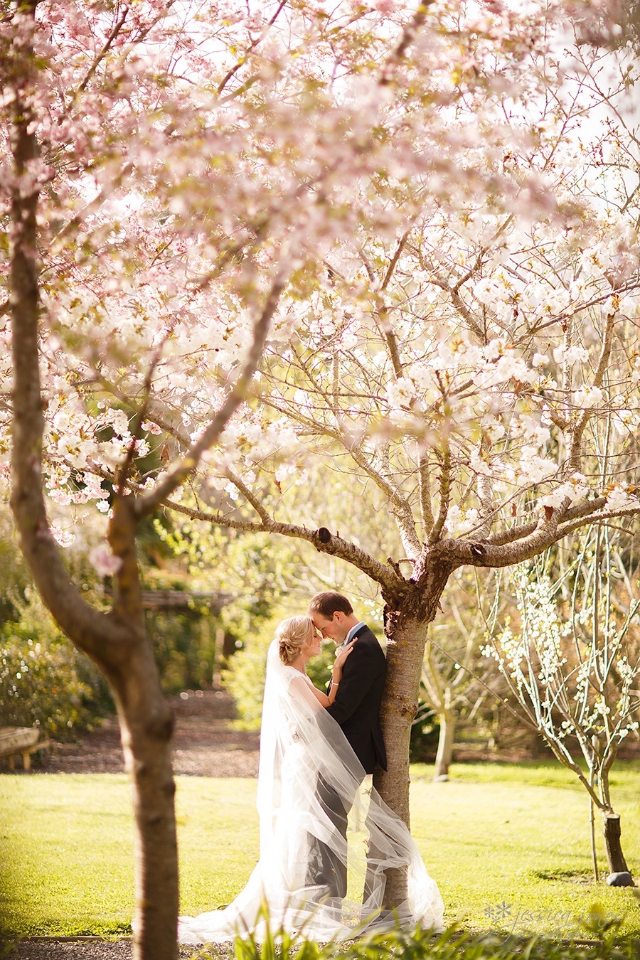 Susan_Rupert_Blenheim_Wedding_42