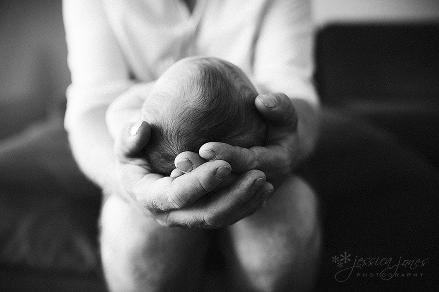 blenheim_baby_portraits_04