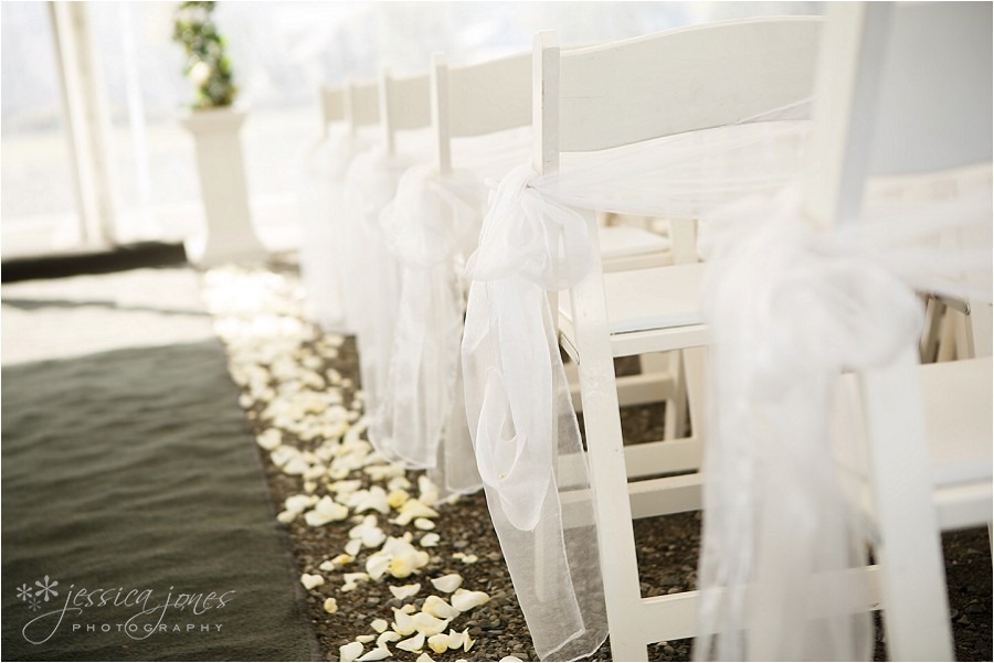 Mandy_Chris_Blenheim_Wedding_0022