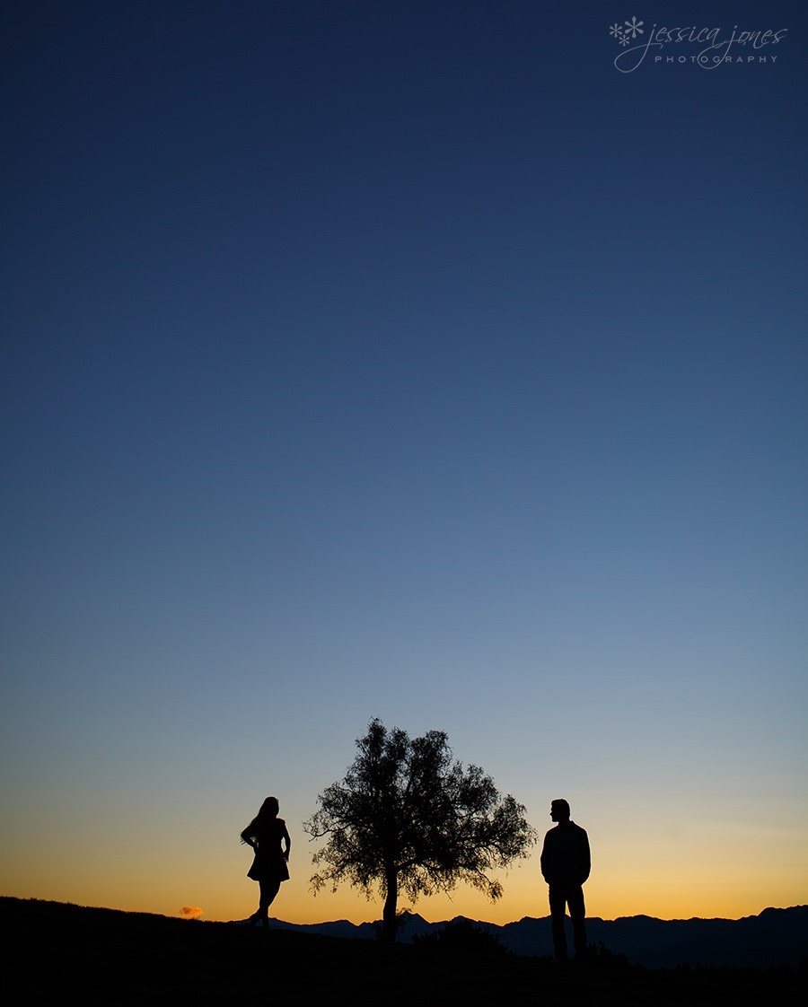 Ben_Holly_Engagement_Blenheim_10