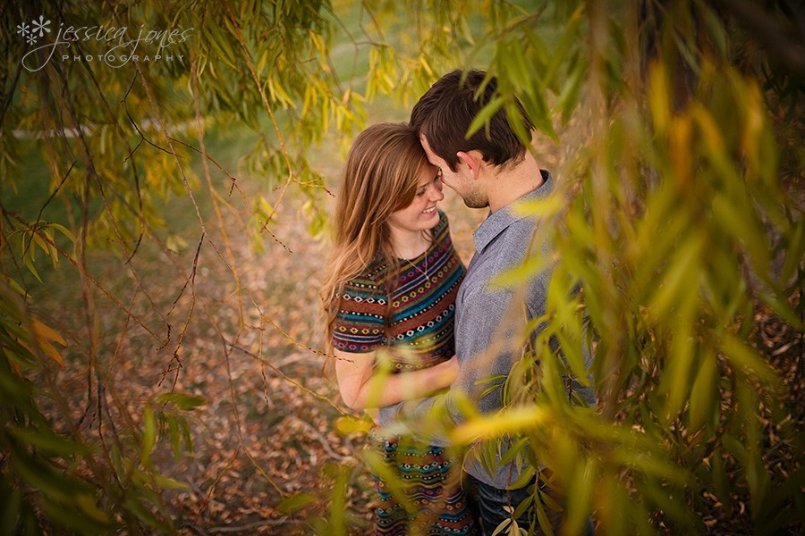 Ben_Holly_Engagement_Blenheim_13