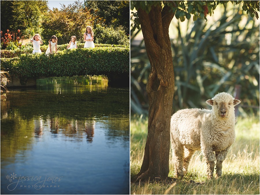 JessNikWeddingPreview-018