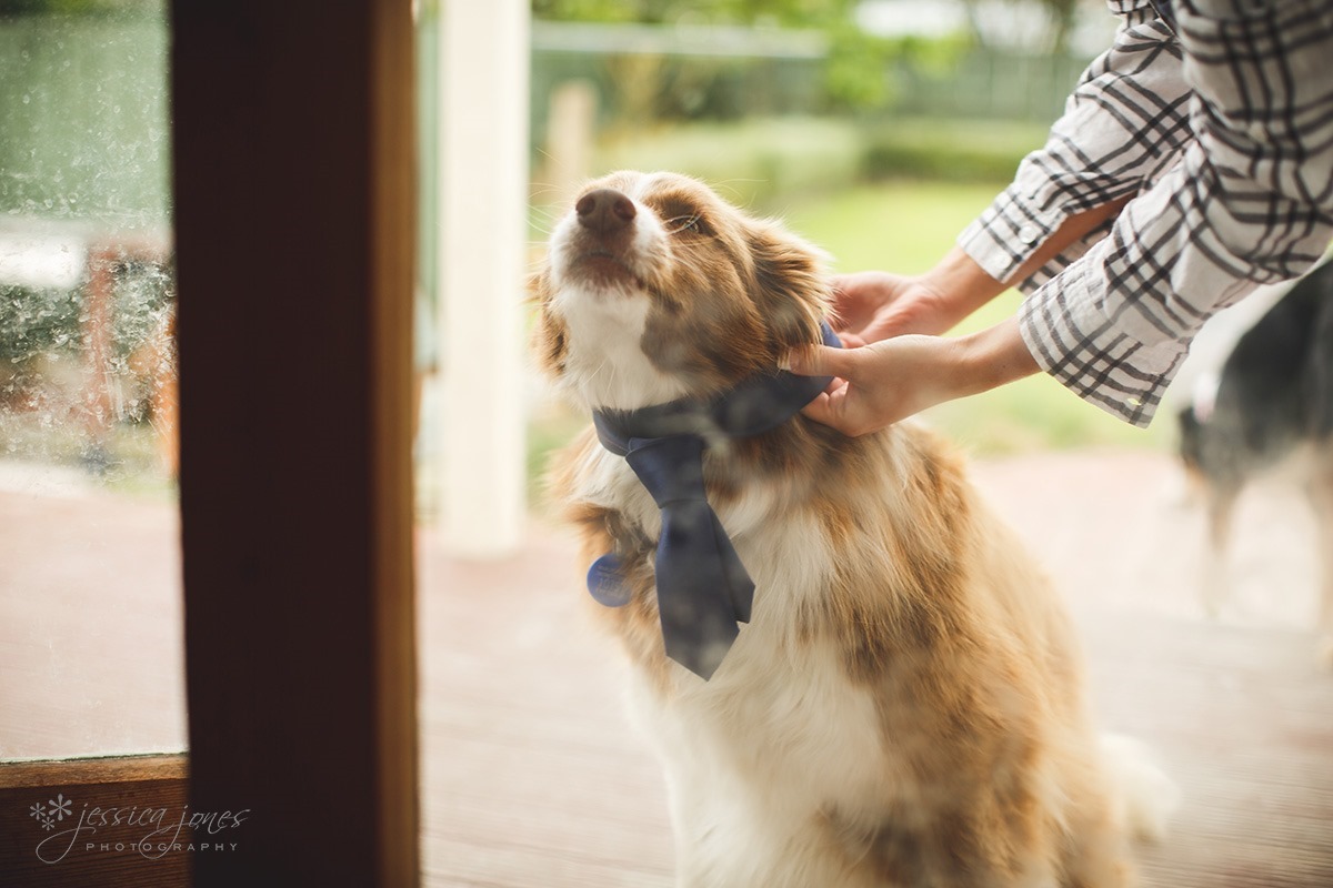 Marlborough_Vineyard_Wedding-003