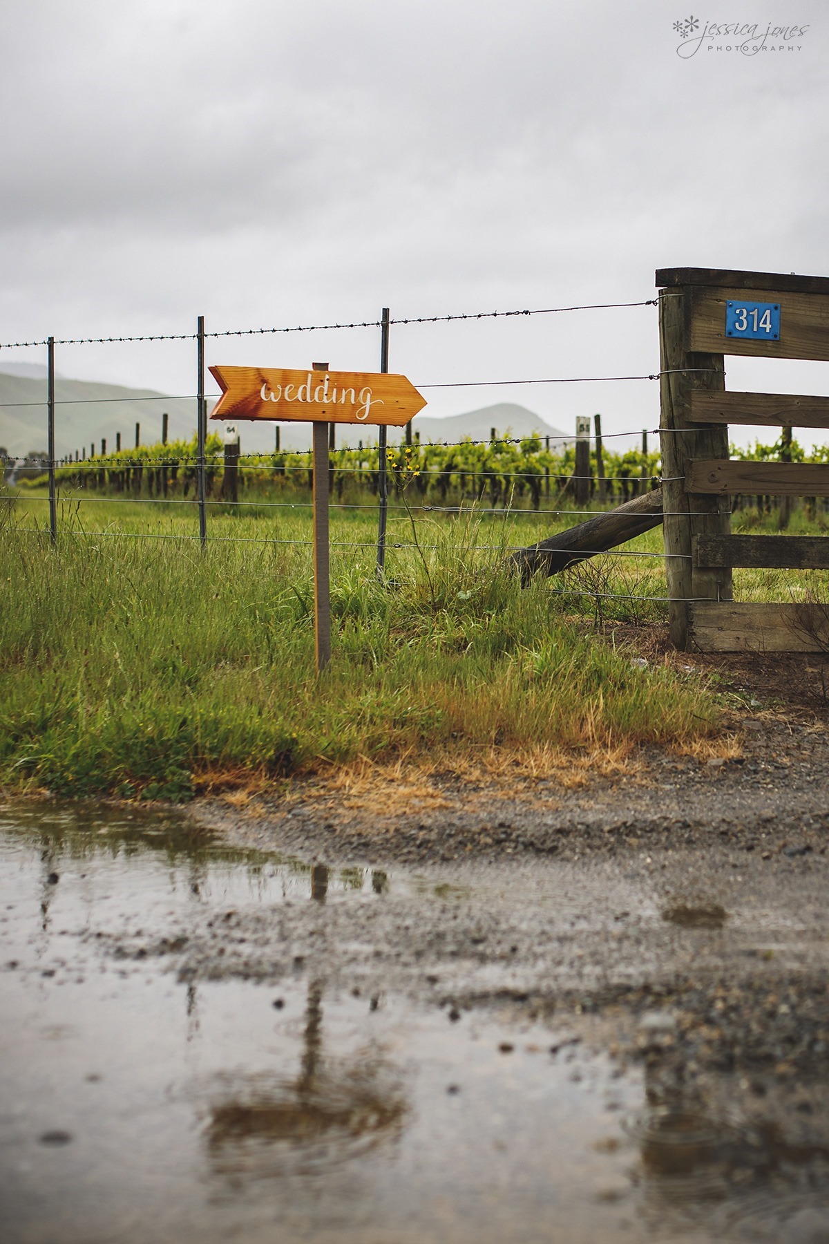 Marlborough_Vineyard_Wedding-076