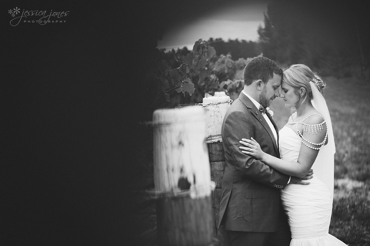 Marlborough_Vineyard_Wedding-079