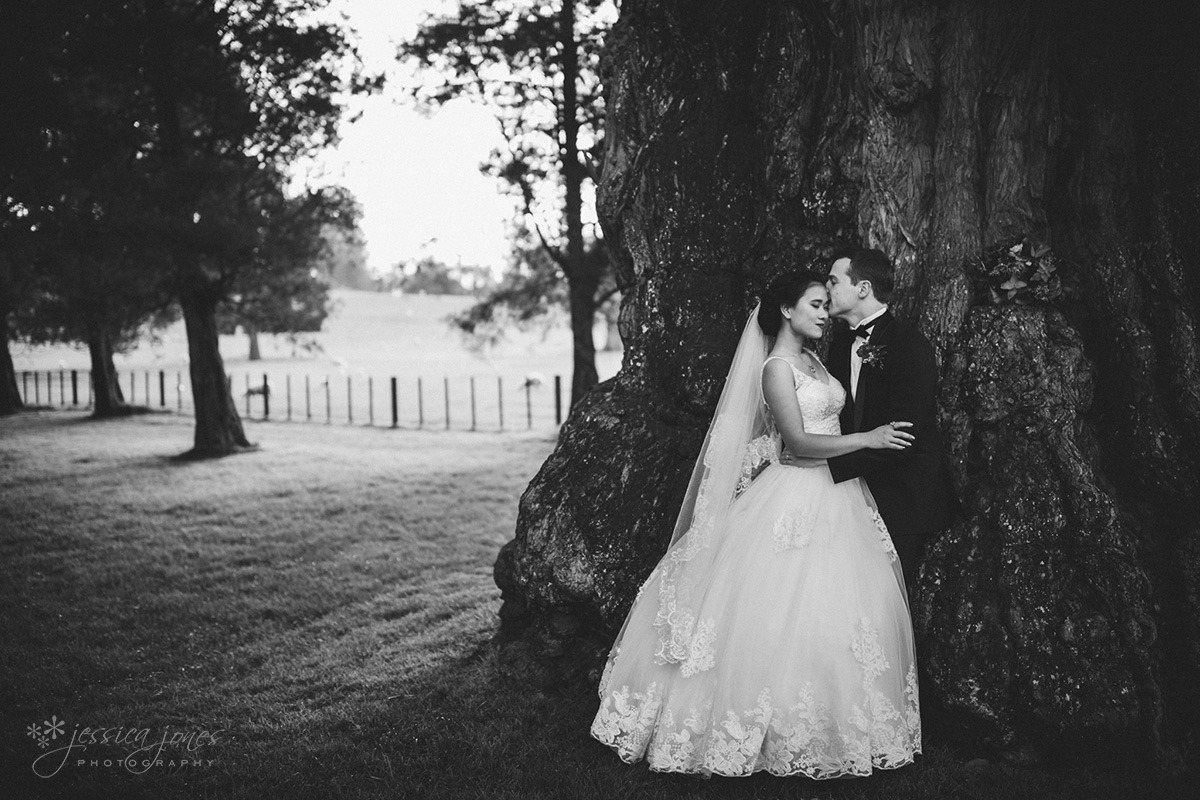 Auckland_Wedding_Photography-097