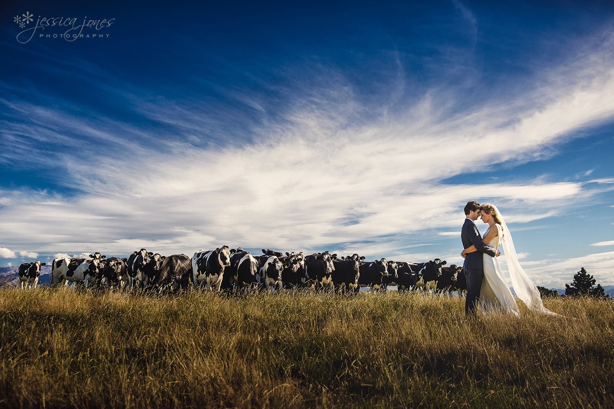 Marlborough_Vineyard_Wedding-001