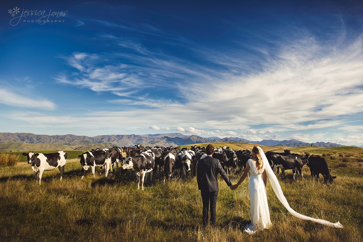 Marlborough_Vineyard_Wedding-048