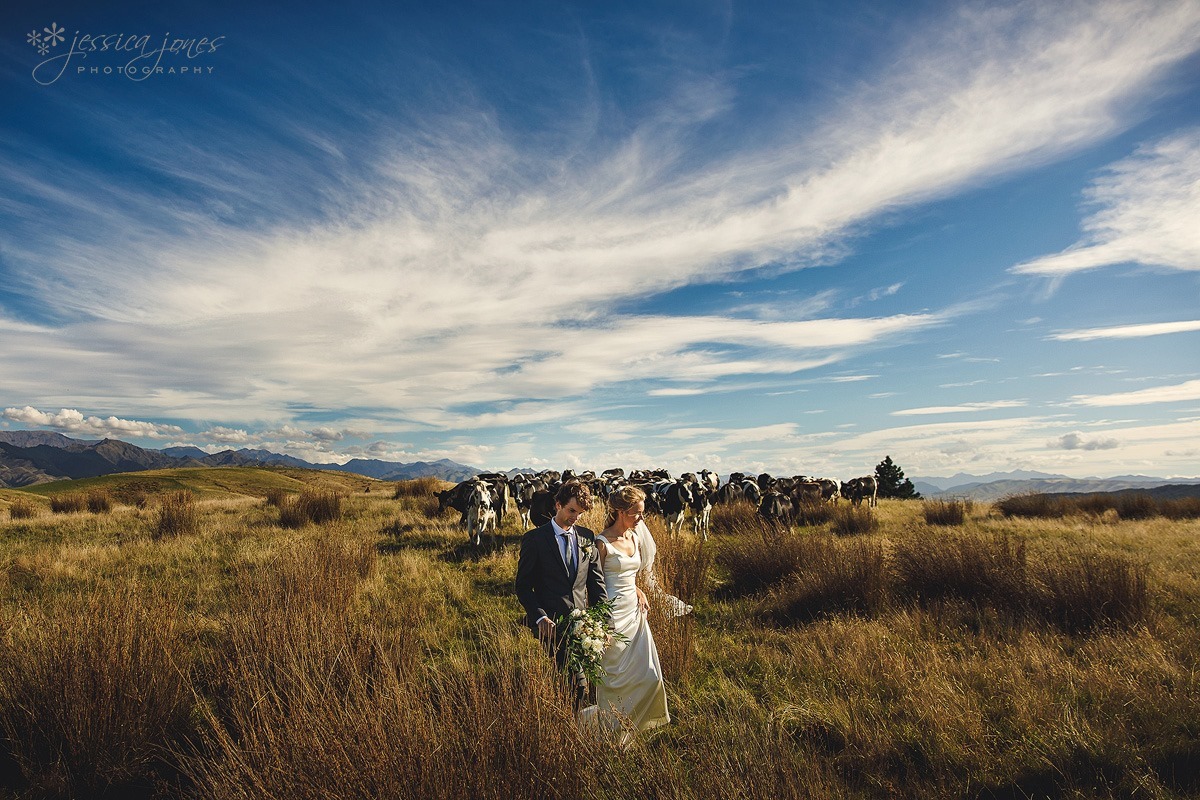 Marlborough_Vineyard_Wedding-049