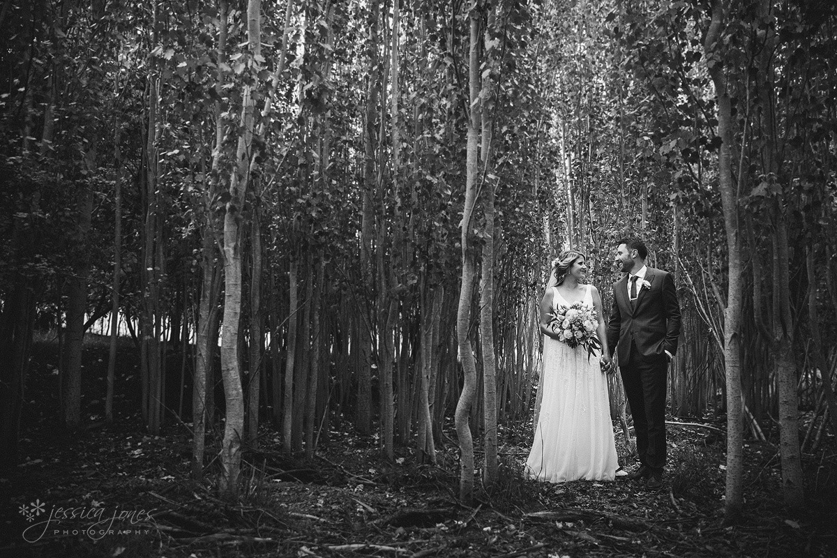 Marlborough_Wither_Hills_Wedding-001