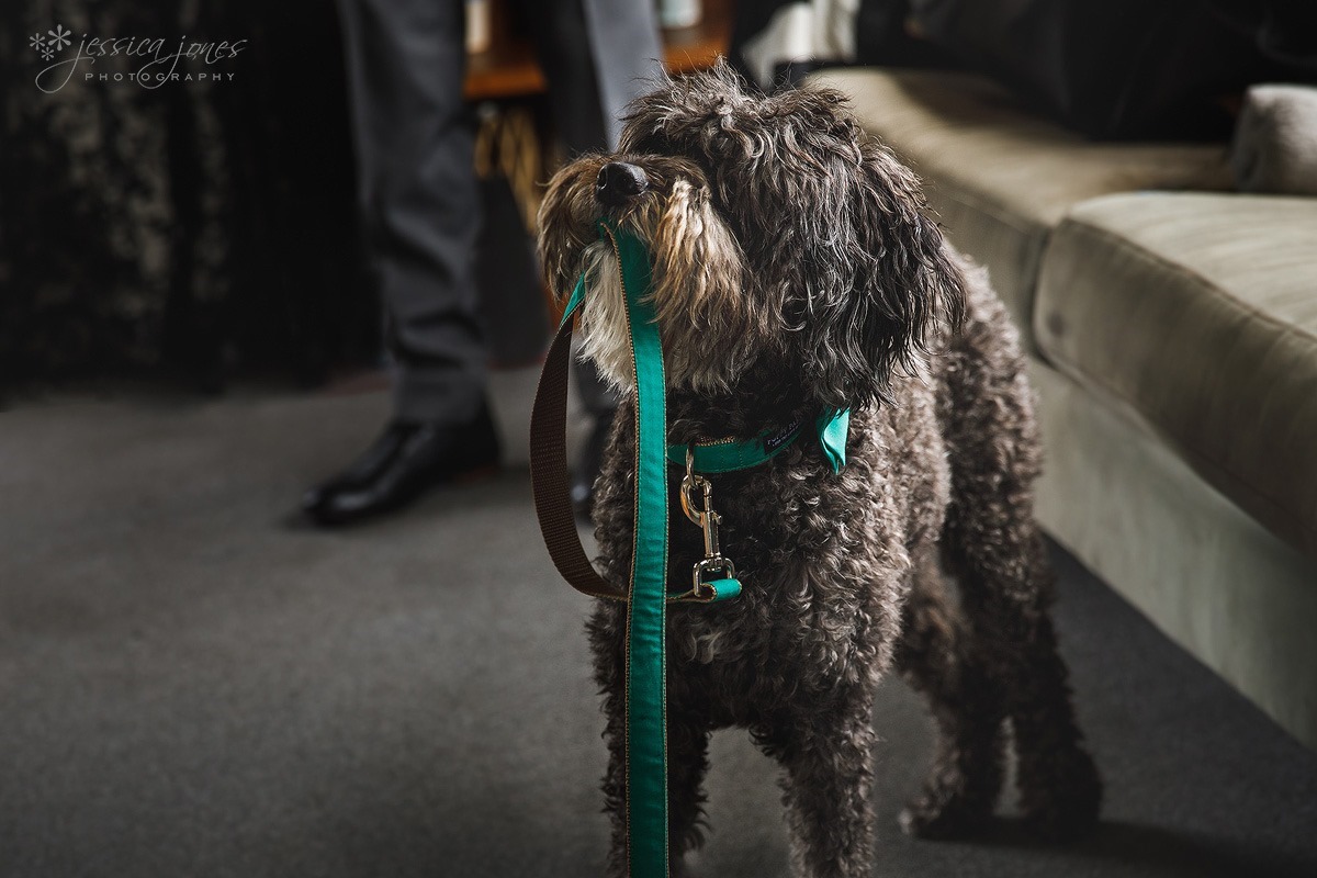 Old_Barn_Wedding_Blenheim-012