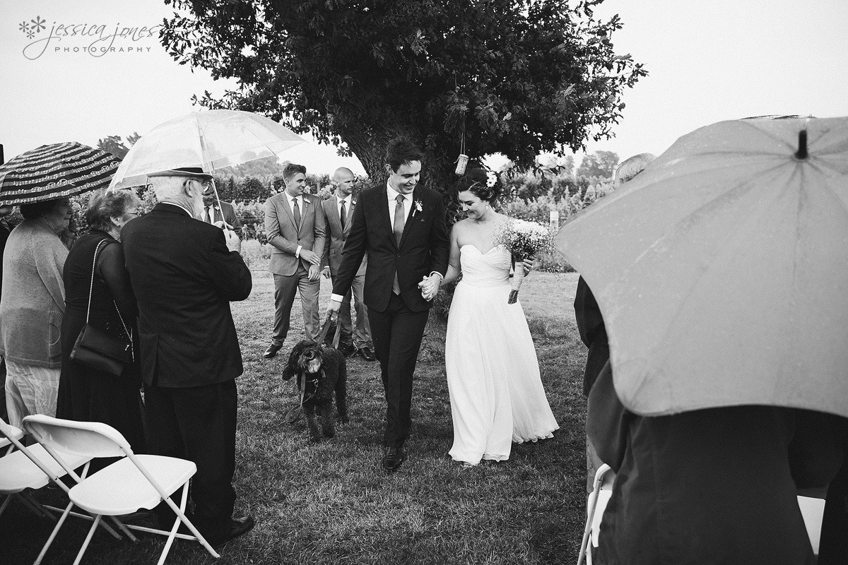 Old_Barn_Wedding_Blenheim-030