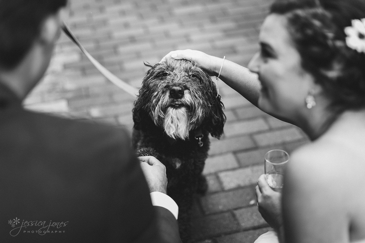 Old_Barn_Wedding_Blenheim-037