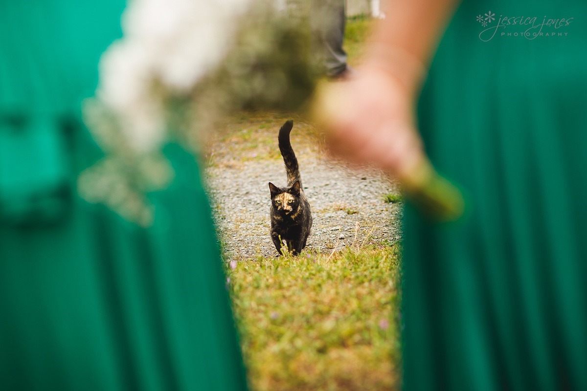 Old_Barn_Wedding_Blenheim-044